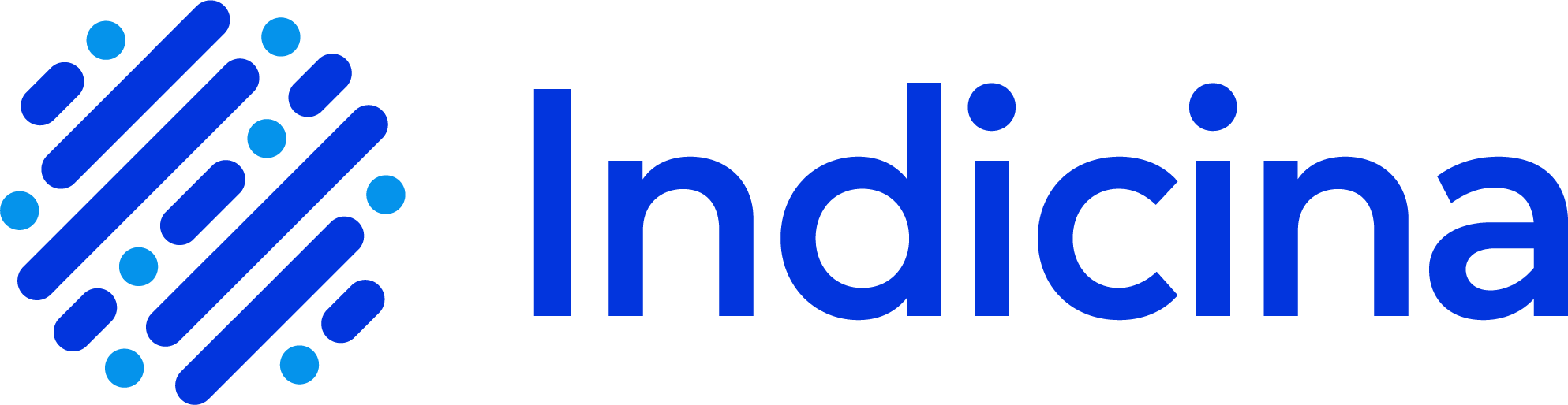 Indicina Logo